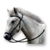 proworker_horse.png