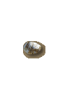 stone_pebble.png